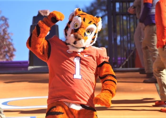 The Clemson Tiger Mascot